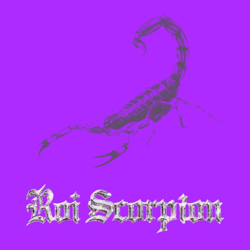 Pochette de Roi Scorpion